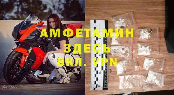 индика Пестово