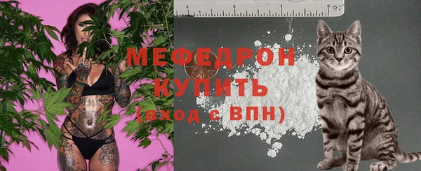индика Пестово