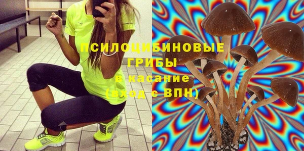 ПСИЛОЦИБИНОВЫЕ ГРИБЫ Алексеевка